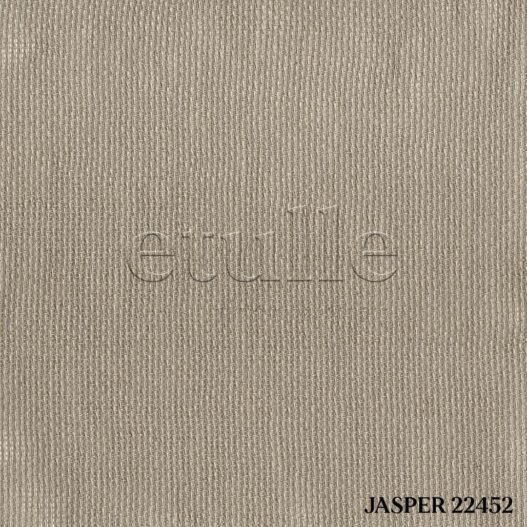 Light Beige Shiny Plain Textured Tulle Curtain | Jasper