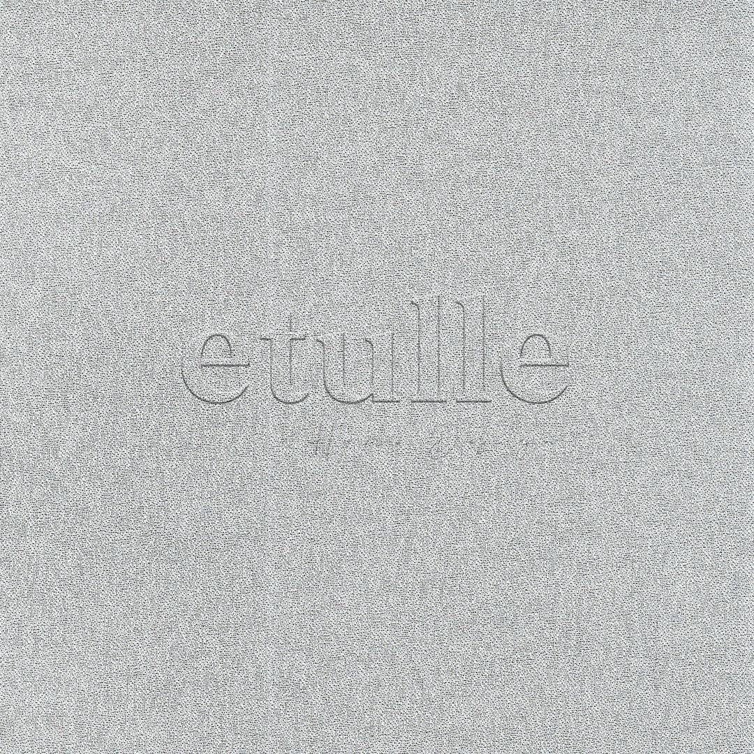 Light Grey Silk Crepe Frosted Tight Weave Plain Voile Curtain | Onetti