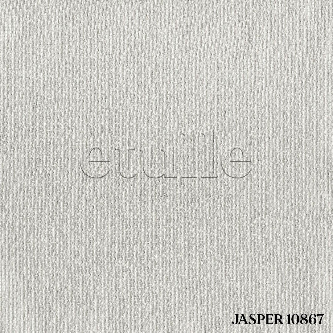 Light Cream Shiny Plain Textured Tulle Curtain | Jasper