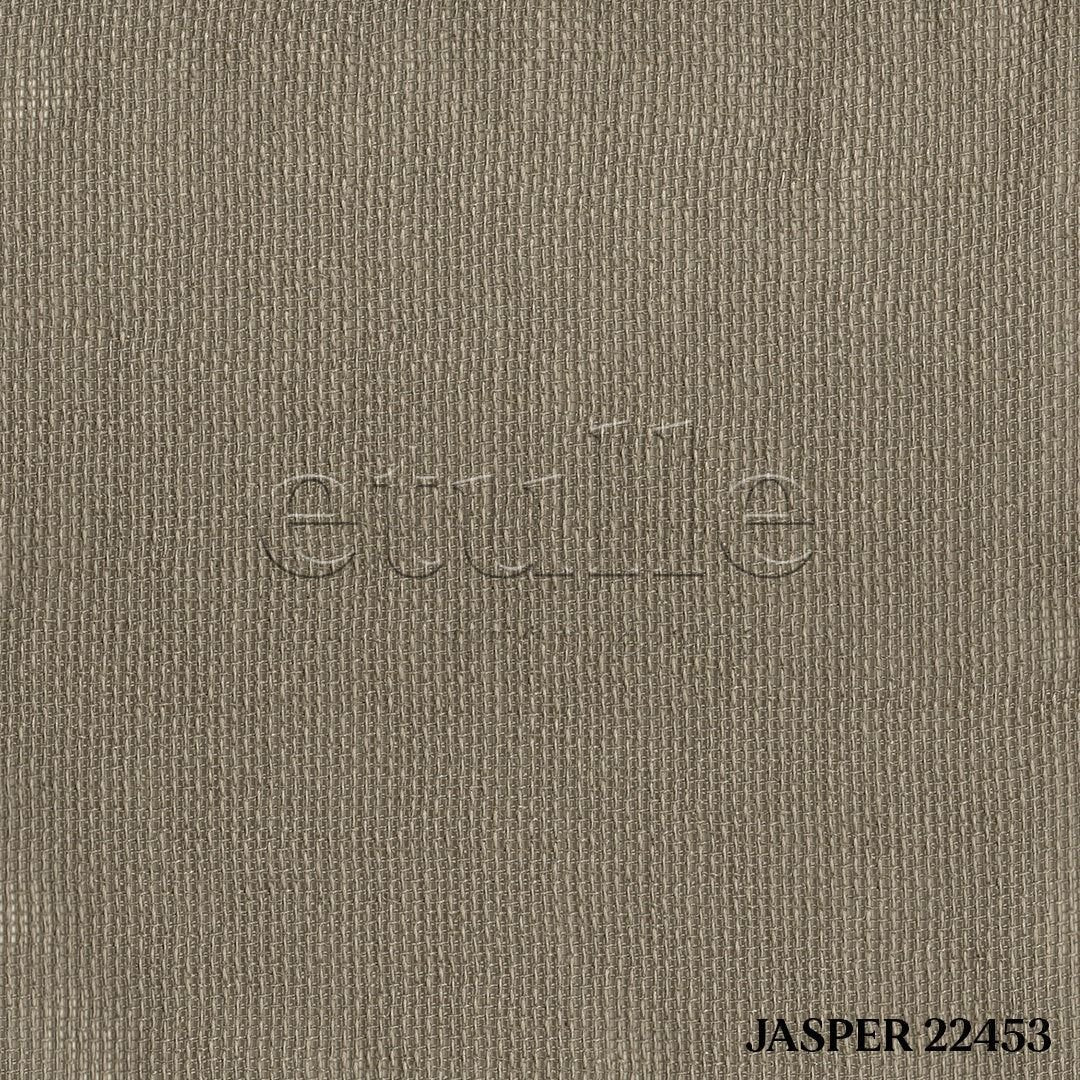 Beige Bright Plain Textured Tulle Curtain | Jasper