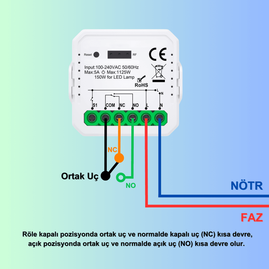 Tuya Mini WiFi Kuru Kontak Röle