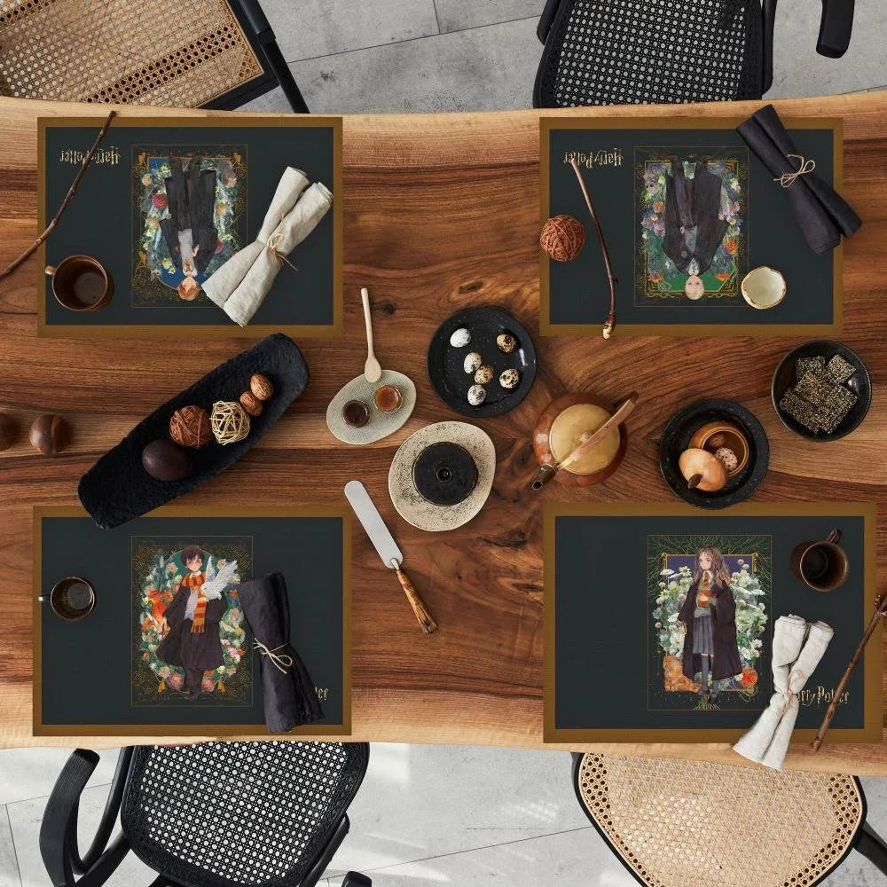 Harry Potter Hedwig ve Phoenix İllüstrasyonlu 4 lü Set (30x50)