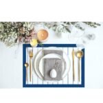 Lacivert Çizgili Tom & Jerry Kumaş Amerikan Servis 4'lü Set 35X50CM - Görsel 2