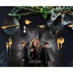 Harry Potter Üçlü Kahramanlar Amerikan Servis – 4’lü Sofra Takımı 30x50 cm - Görsel 2