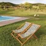 Grey Angry Tweety Şezlong - SZL322 - Görsel 4