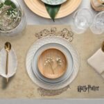 HP Marauders Map Kumaş Amerikan Servis 4'lü Set 35X50CM