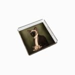 Mr. Cat Pleksi Tepsi - PT2104 - 25x25cm