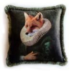 Mr. Fox - EY250 - Görsel 4